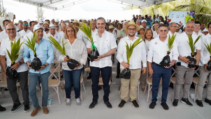El FEDA ejecuta plan nacional para satisfacer la creciente demanda de coco