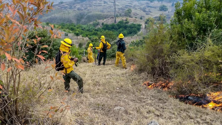 55 incendios forestales afectan diversas zonas esta Semana Santa