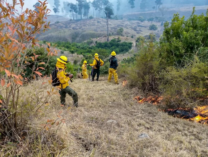 55 incendios forestales afectan diversas zonas esta Semana Santa