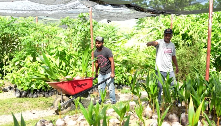 Manuel-y-Andi-Ozoria-en-el-vivero-familiar-Alimentando-y-Reforestando-Foto-Yael-Lopez-728x417