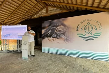 Inicia la temporada de anidación de tortugas marinas 2024 en Miches