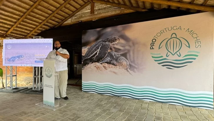 Inicia la temporada de anidación de tortugas marinas 2024 en Miches