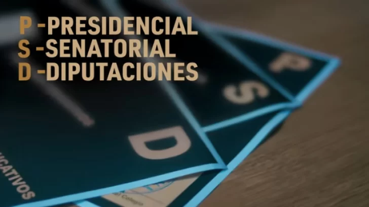 Elecciones presidenciales 2024: Cómo son las boletas para las Elecciones Presidenciales y Congresuales en República Dominicana