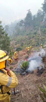 Incendio en el Parque Nacional José del Carmen Ramírez está controlado