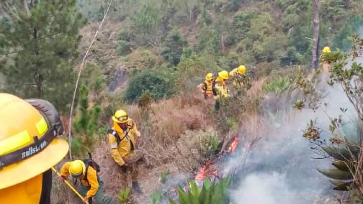 Incendio en el Parque Nacional José del Carmen Ramírez está controlado