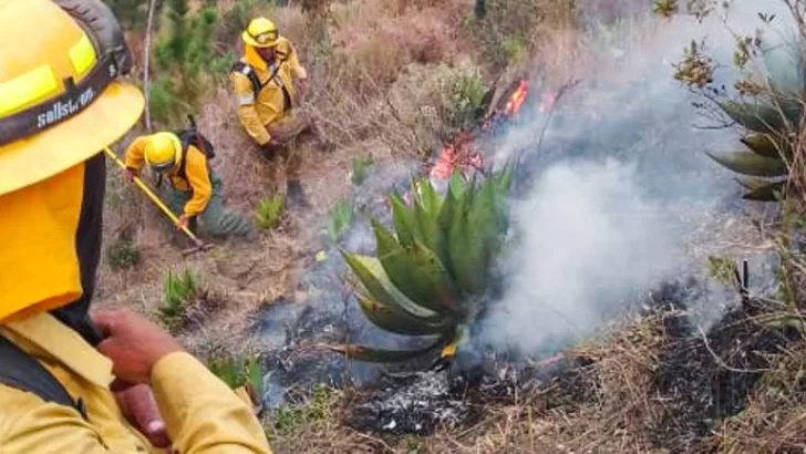 Controlado incendio en el Parque Nacional José del Carmen Ramírez