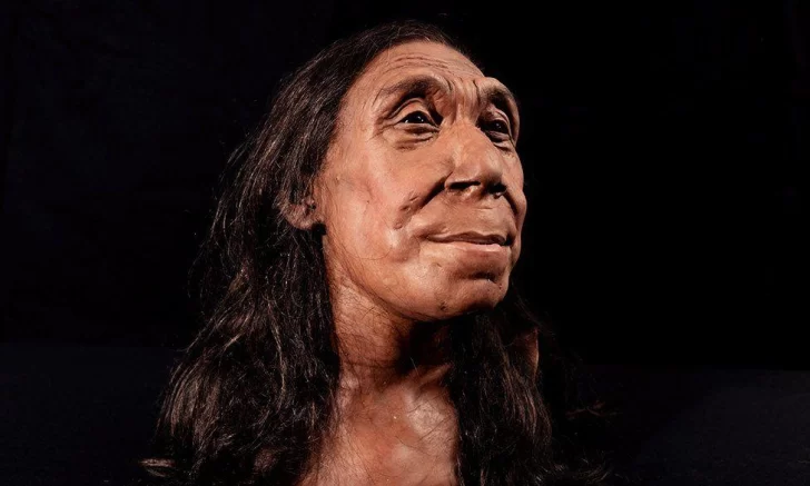 Revelan la cara de una mujer neandertal que vivió hace 75.000 años