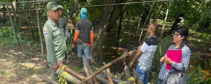 Medio Ambiente contra alcalde de SFM por cortar árboles protegidos