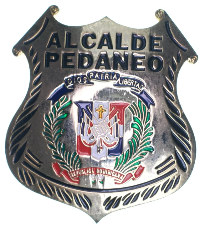 Escudo-de-alcalde-pedaneo-1-655x728
