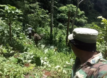 Mantienen vigilancia militar en el Parque Nacional Los Haitises