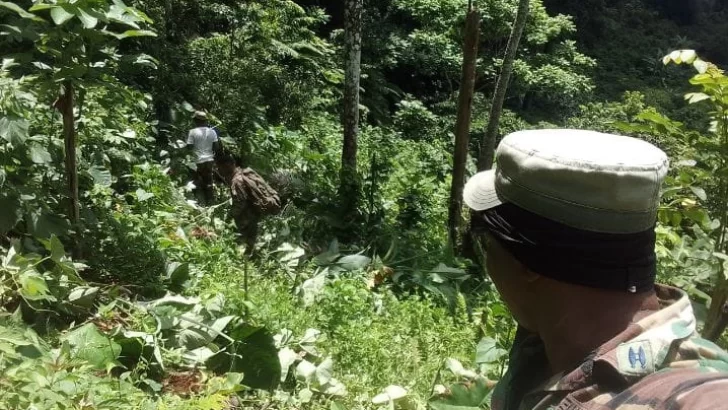 Mantienen vigilancia militar en el Parque Nacional Los Haitises