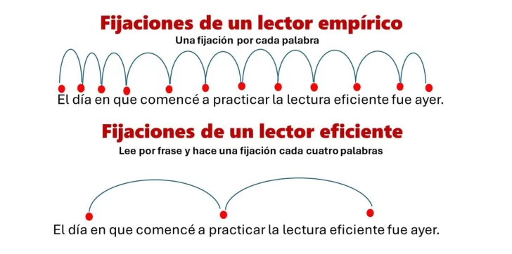 Fijaciones-728x362