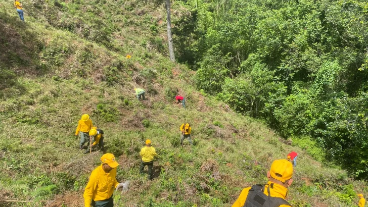 Incendios forestales se redujeron un 58 % en el primer cuatrimestre