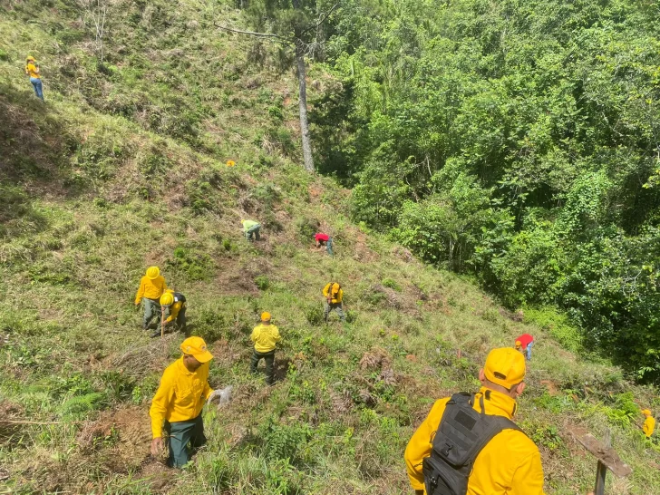 Incendios forestales se redujeron un 58 % en el primer cuatrimestre