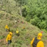 Incendios forestales se redujeron un 58 % en el primer cuatrimestre