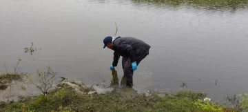 Medio Ambiente investiga muerte de peces en una laguna de Puerto Plata