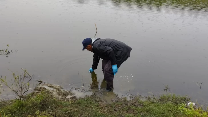 Medio Ambiente investiga muerte de peces en una laguna de Puerto Plata