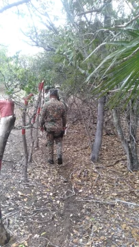 Medio-Ambiente-refuerza-la-vigilancia-militar-para-evitar-ilicitos-en-las-Dunas-de-Bani-2-410x728