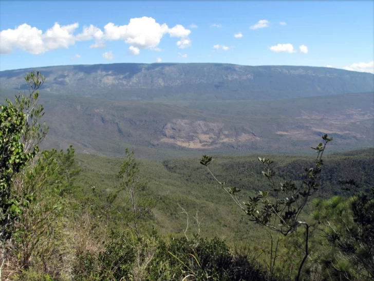 Montana-Pedernales.-728x547