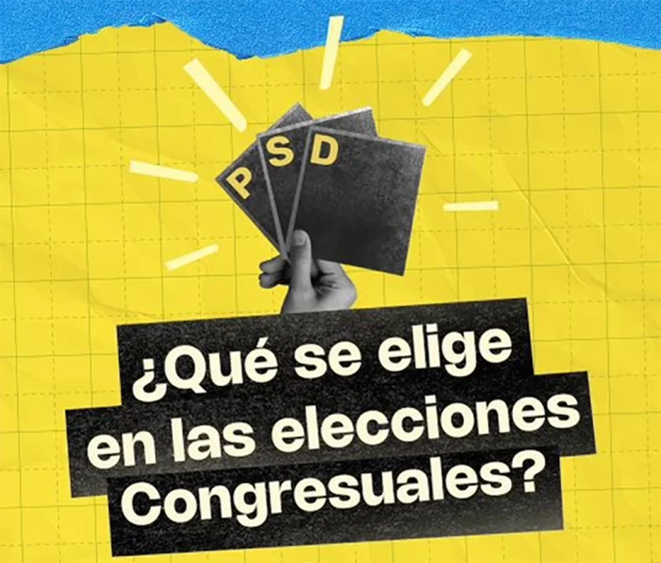 Elecciones 2024: Qué se elige en las elecciones Congresuales