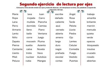 Segundo-ejercicio-de-lectura-por-ejes-728x458