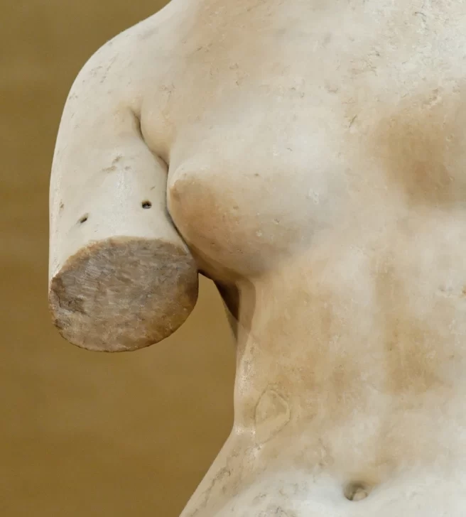 Venus-de-Milo-detalle-656x728