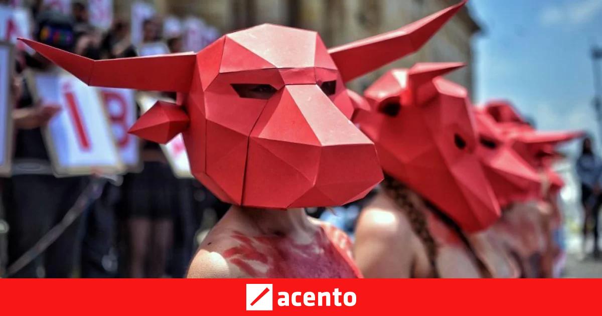 El Congreso de Colombia aprueba la prohibición de las corridas de toros ...