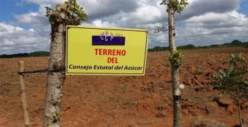 El CEA dona terrenos para la UASD en Santo Domingo Este