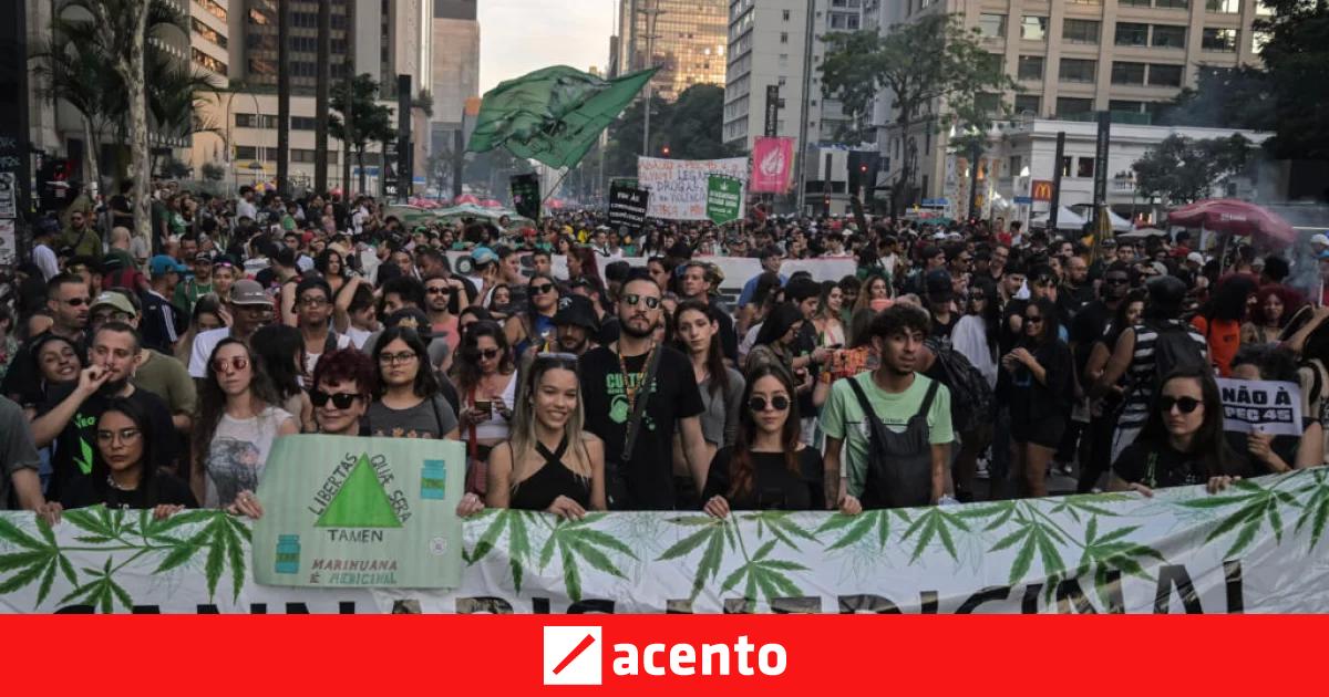 Miles de brasileños marchan en Sao Paulo por la legalización de la ...