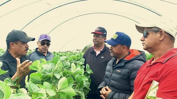 Sánchez Roa propone que se desarrolle programa agroforestal en la Horma de Ocoa