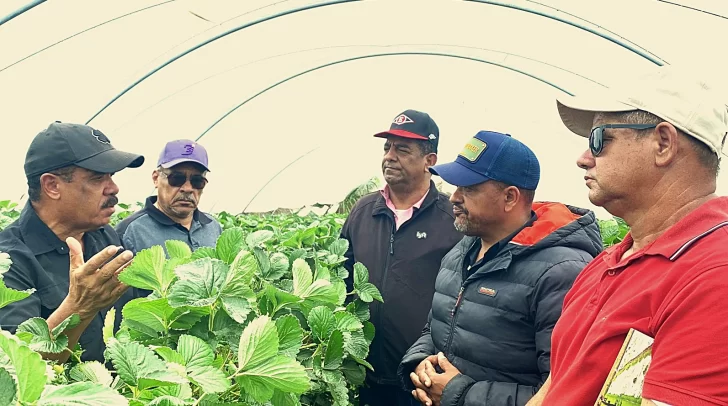 Sánchez Roa propone que se desarrolle programa agroforestal en la Horma de Ocoa