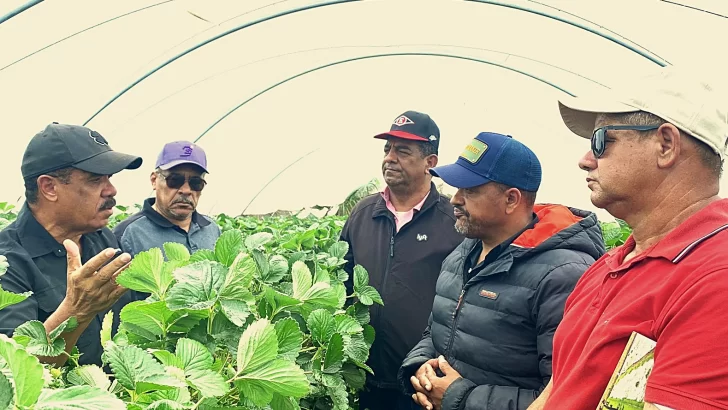 Sánchez Roa propone que se desarrolle programa agroforestal en la Horma de Ocoa