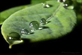 Biografia-existencial-de-una-gotita-de-agua-lluvia