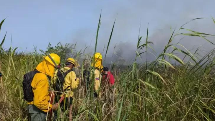 Bomberos forestales y guardaparques extinguieron el incendio en Cabarete y Goleta