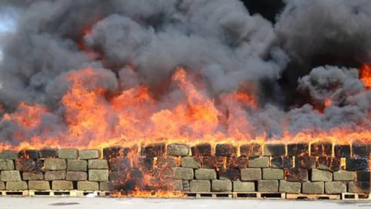 Inacif quema más de media tonelada de drogas