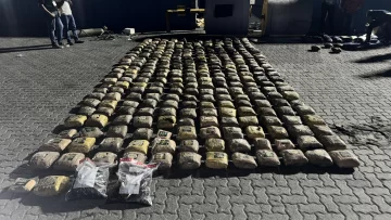 Confiscan cargamento de más de mil libras de marihuana