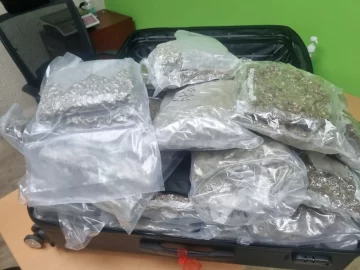 Detienen hombre en aeropuerto de Punta Cana con 40 paquetes de marihuana