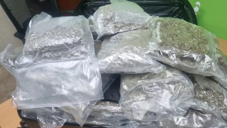 Detienen hombre en aeropuerto de Punta Cana con 40 paquetes de marihuana