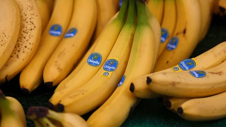 La oscura influencia en América Latina de la bananera de EE.UU. United Fruit Company y su heredera Chiquita Brands