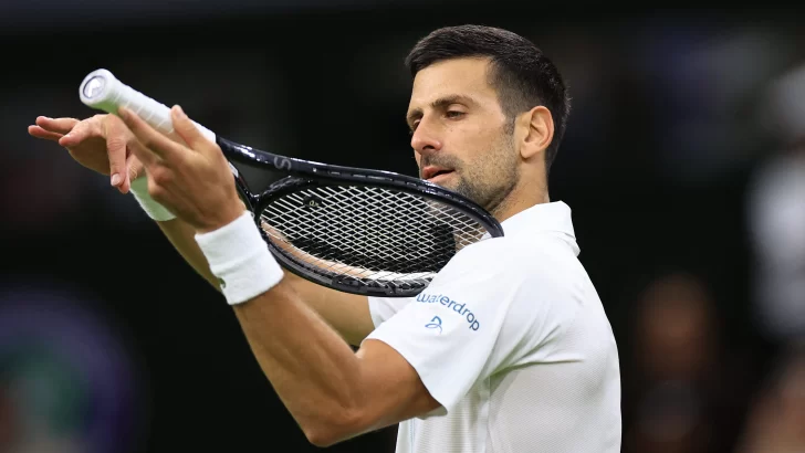 Djokovic interpretó grito 