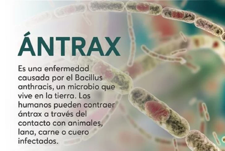 ANTRAX-QUE-ES-1-728x488