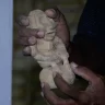 El arte de los taínos: un puente cultural entre el pasado y el turismo
