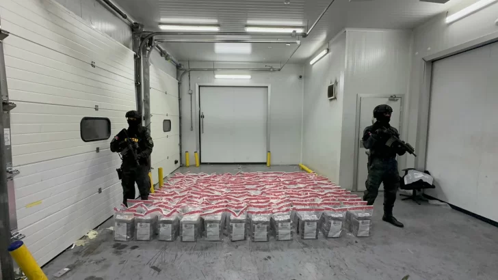 Hallan 918 paquetes cocaína en terminal de Boca Chica