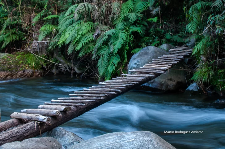 Puente_Rio_La_Guacara-728x484