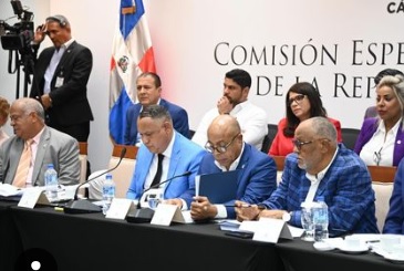 GANA y CONANI advierten proyecto desconoce 'derechos consagrados' en la Constitución, en leyes y acuerdos internacionales