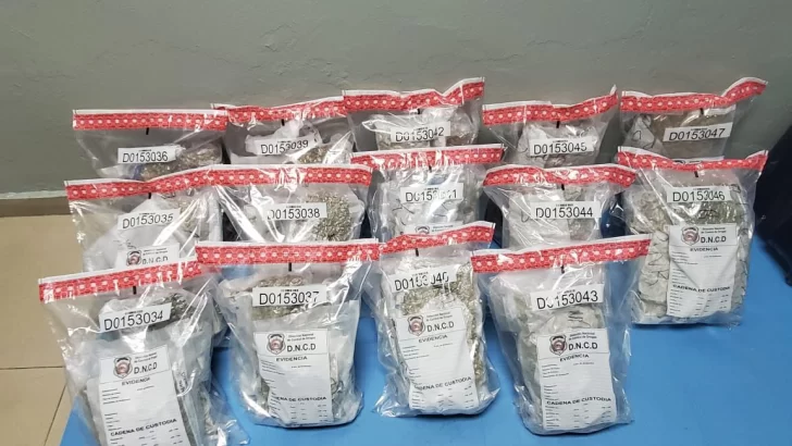 Confiscan maleta cargada con 38 paquetes de marihuana en aeropuerto Gregorio Luperón