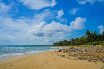 Aprueban licencia ambiental a Punta Bergantín