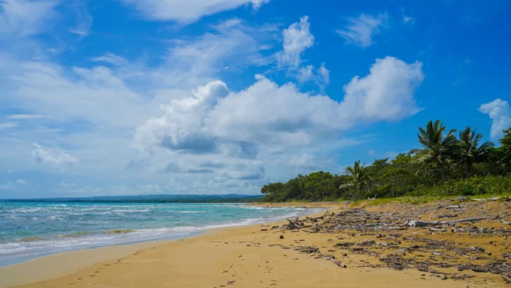 Aprueban licencia ambiental a Punta Bergantín