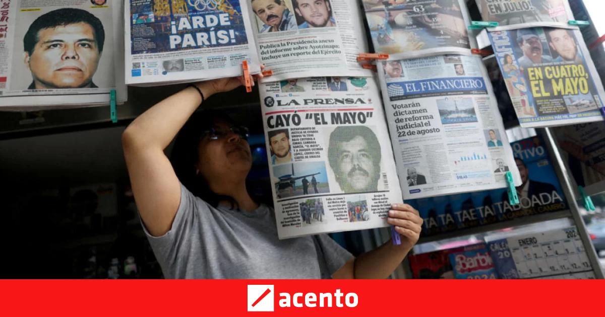 México investiga traición a la patria por la entrega de El Mayo Zambada ...