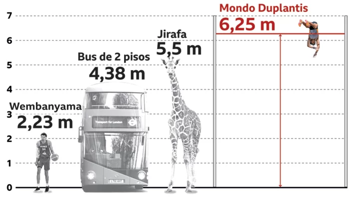El gráfico que muestra la espectacular dimensión del récord mundial de salto de garrocha de Mondo Duplantis